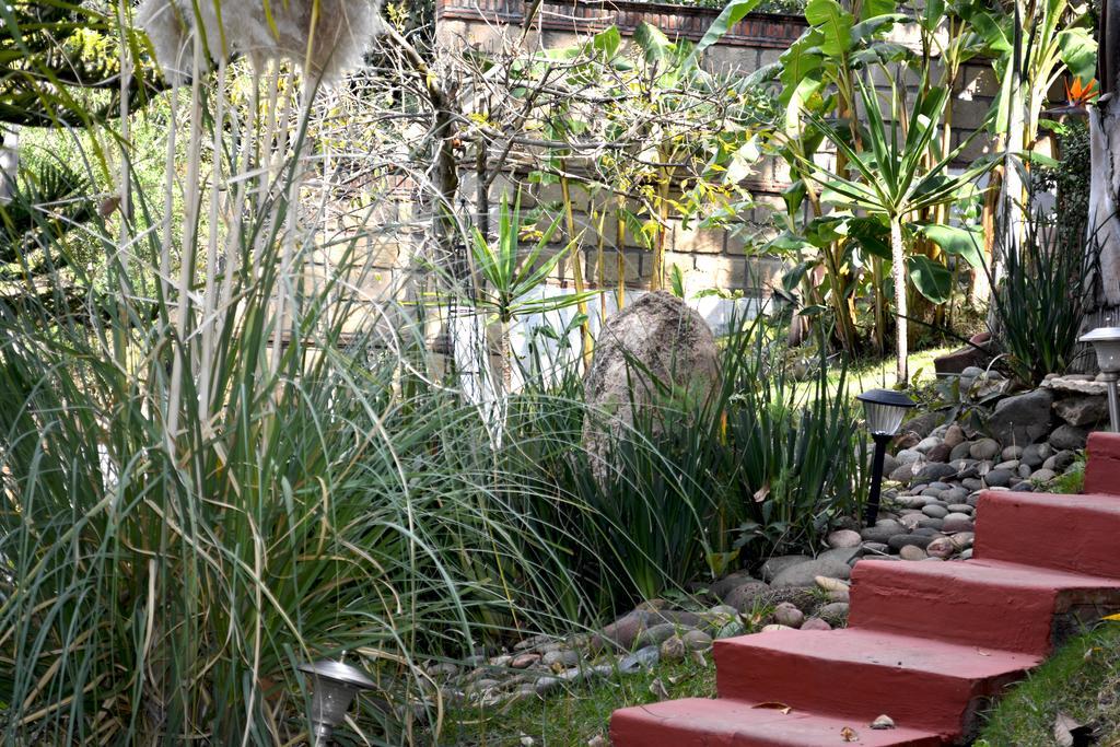 Guest house El Chalet Morelia
